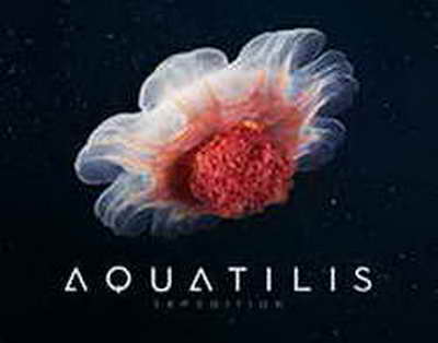 Қант диабеті пайда болуының сіз күтпеген себептері